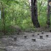 3007 Hink stap sprong Robinia trimtoestel 01