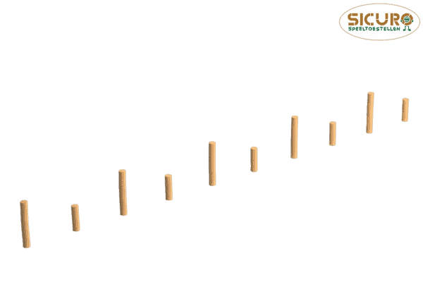 3009 Bokspring slalompalen 01