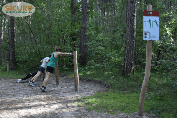 Calisthenics Driedelige Push up bars 01