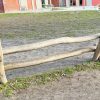 2128 Hangbank Robinia 02 2128 Hangbank Robinia 02