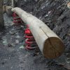 5068R Veerbalanceerbalk Robinia 01