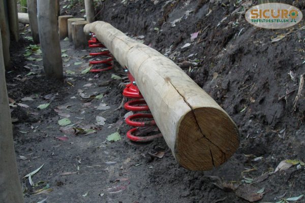 5068R Veerbalanceerbalk Robinia 01