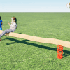 5069R Veer balanceerbalk 300 Robinia 02
