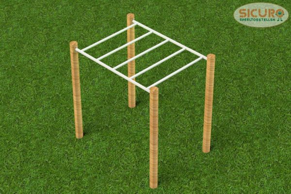 3111RA Calisthenics Horizontale Ladder 2000 01