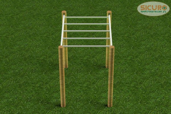 3111RA Calisthenics Horizontale Ladder 2000 02