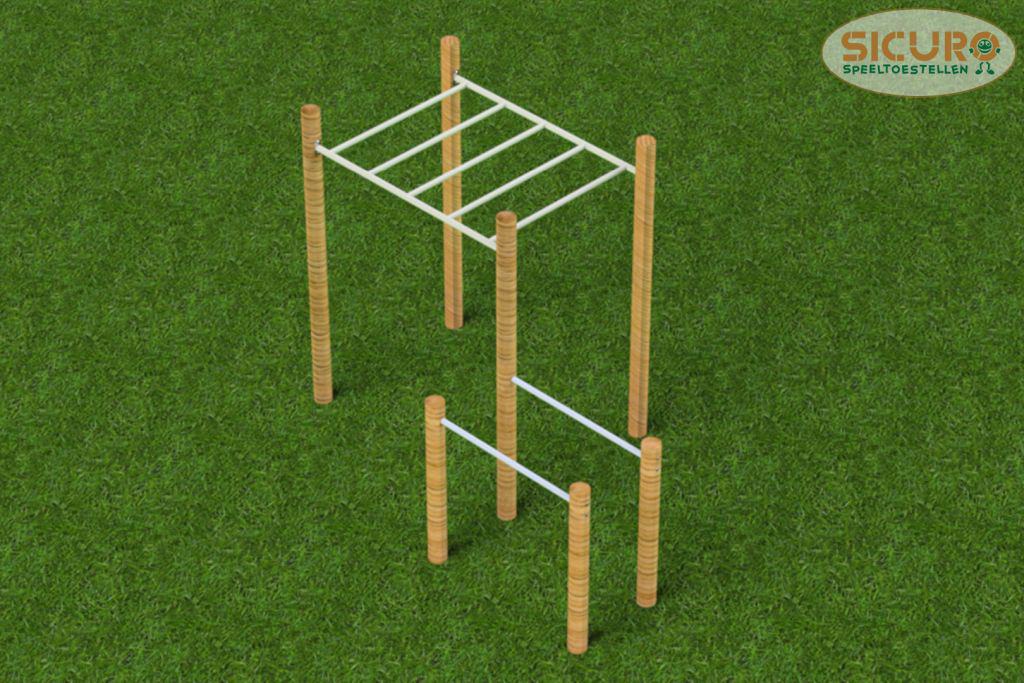 3118R Monkeybar dip combi Calisthenics 01