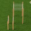 Calisthenics Monkeybar dip combi robinia