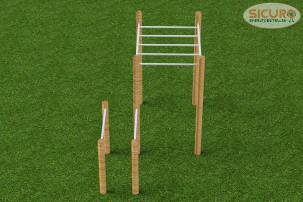 Calisthenics Monkeybar dip combi robinia