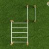 Calisthenics Monkeybar dip combi robinia