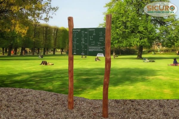 3199R Calisthenics infobord workoutroutine robinia 02