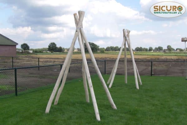 6001R_Robinia_Tippi01.jpg_product Tippi